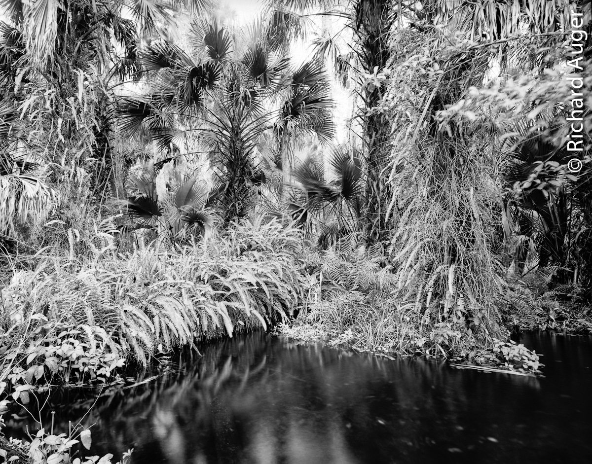 Rock Springs Run 1