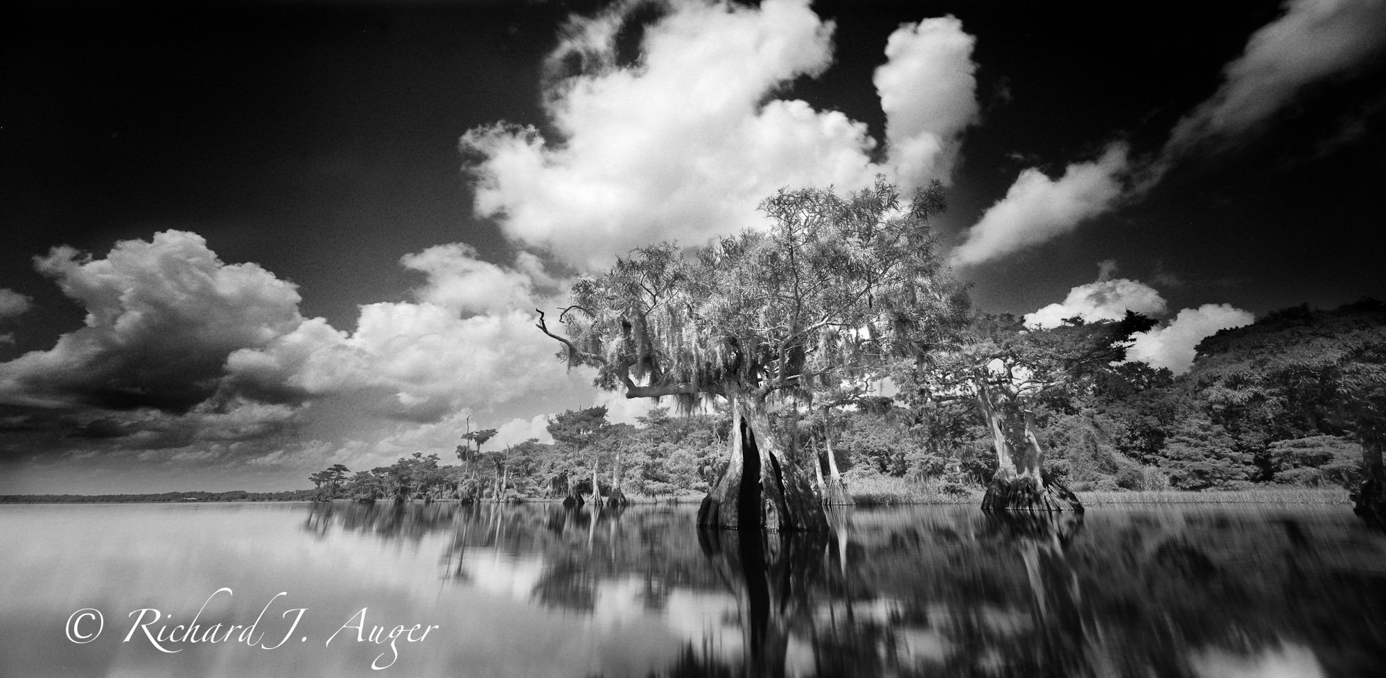 Blue Cypress Lake, Orange River County, Florida, by Richard Auger