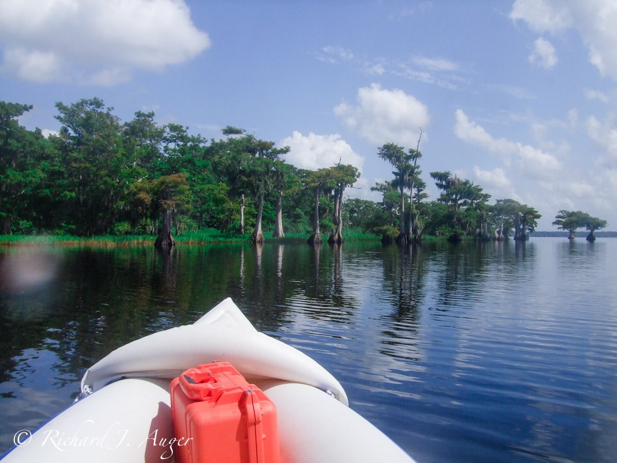 Blue Cypress Lake, gliding in my kayak. Photo by Richard Auger.
