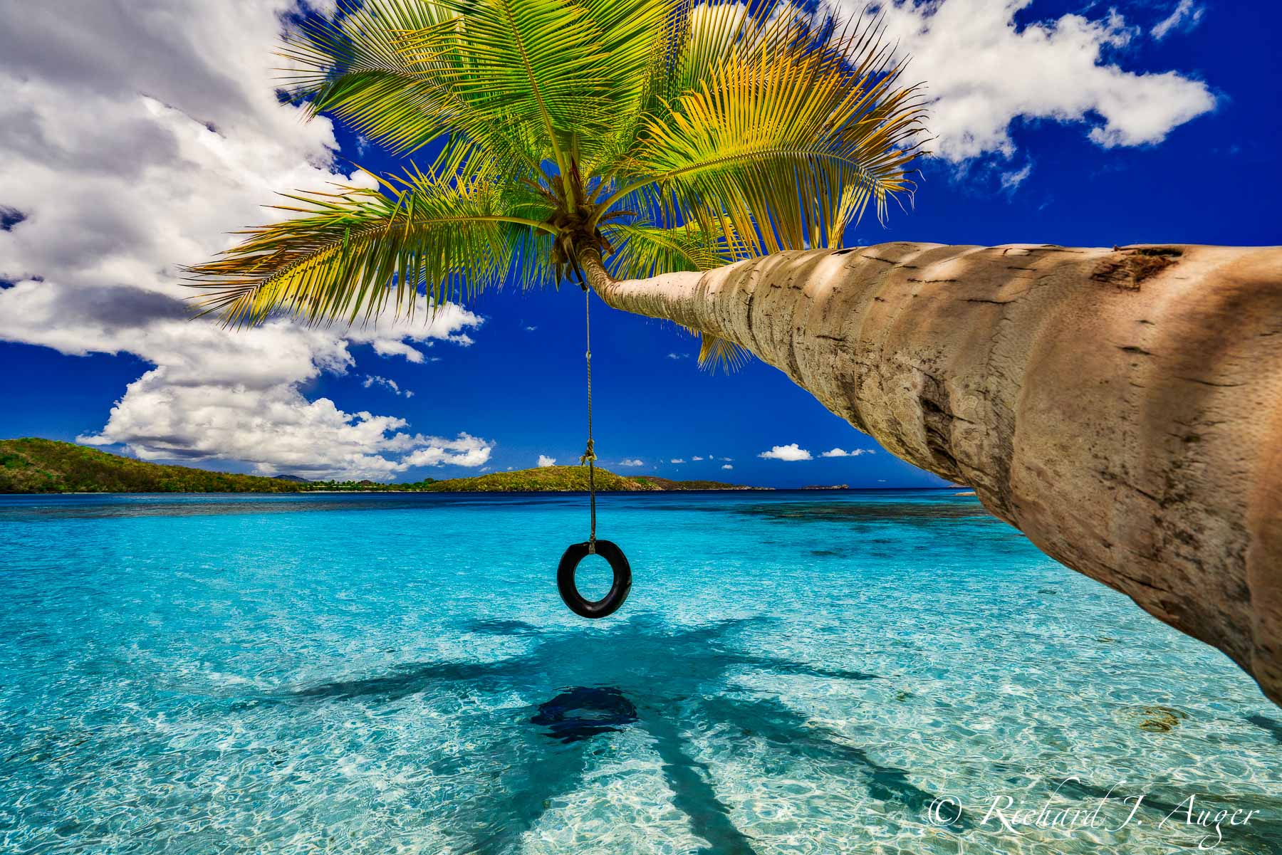 Oppenheimer Beach, St John, US Virgin Island, Palm Tree, Tire Swing, Caribbean, Paradise, Ocean, Beach