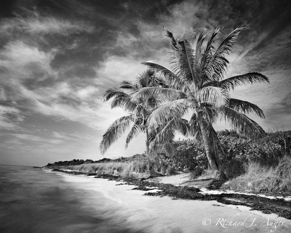 Bahia Honda 1 <p> South Florida Keys