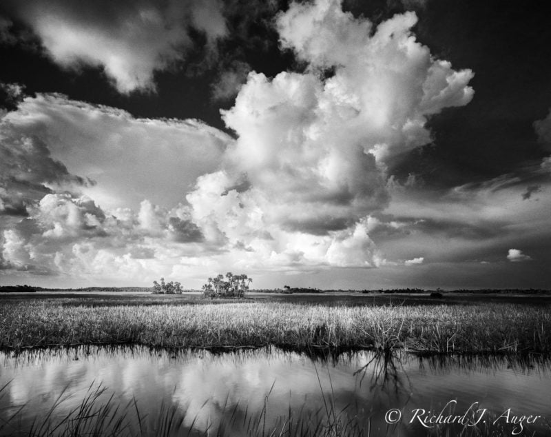 Big Cypress National Preserve, Florida, Everglades, Black and White, Sky, Swamp, water, nature, photograph