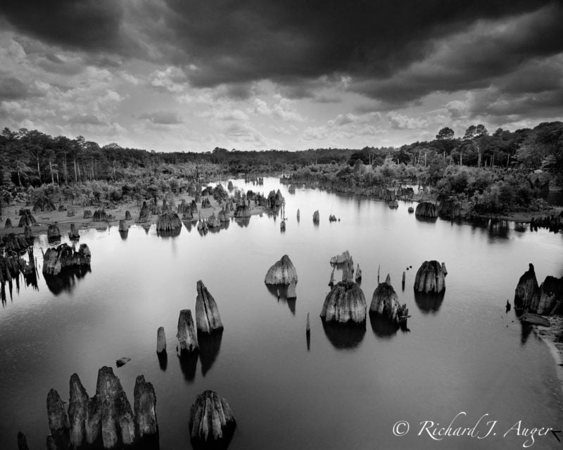 Dead Lakes, Florida, Photography, Black and White, Cypress, Storm, Reflections