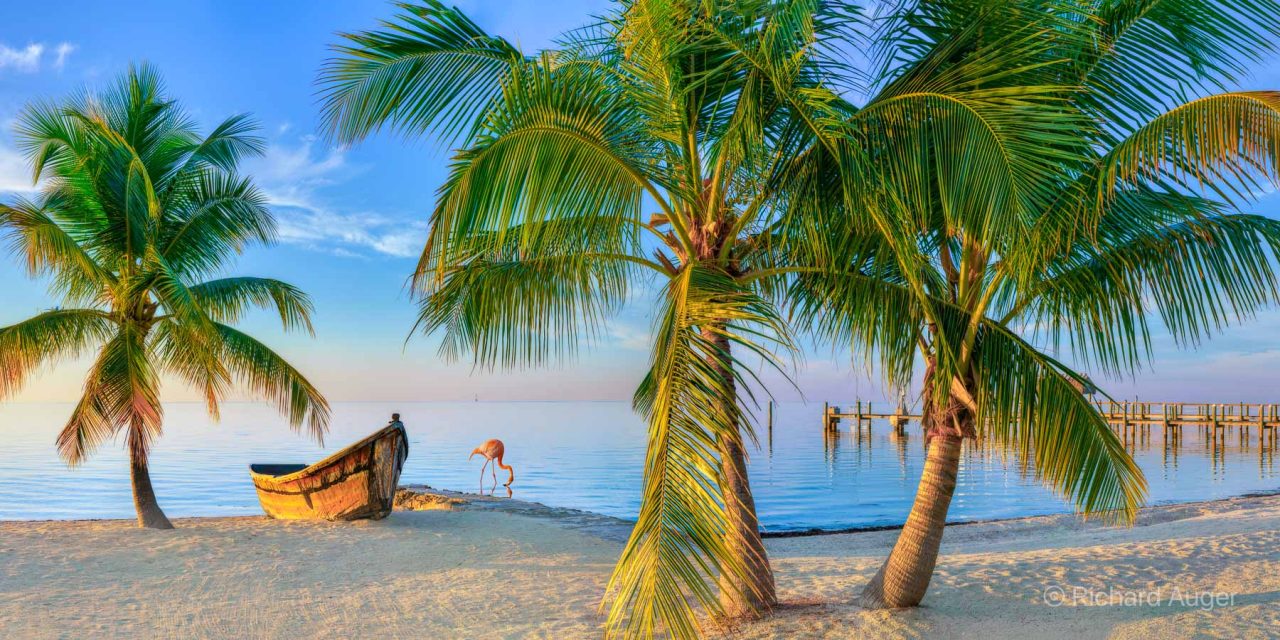 Florida Keys, Palm Trees, Beach, Boat, Nautical, Sunrise, Flamingo, Sand, Peaceful