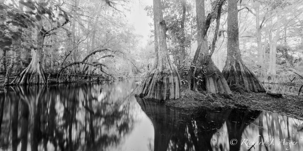 Loxahatchee River 2 <p> Jonathan Dickinson State Park