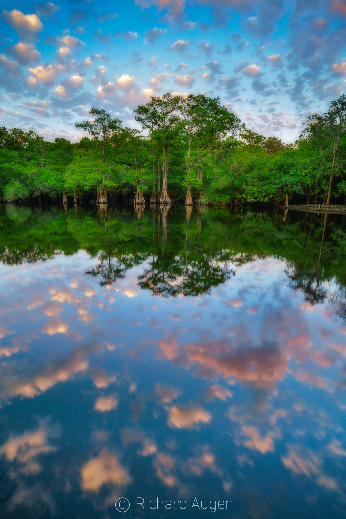 Santa Fe River, Florida, Sunset, Orange, Blue, Clouds, Cypress, Water, Photograph, Photographer, Nature, Landscape