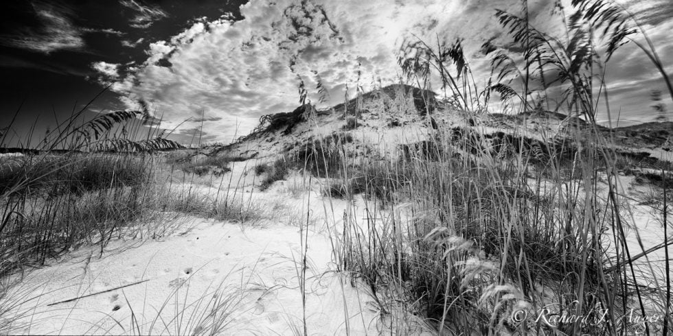 St Joe Peninsula 4 <p> Florida Panhandle