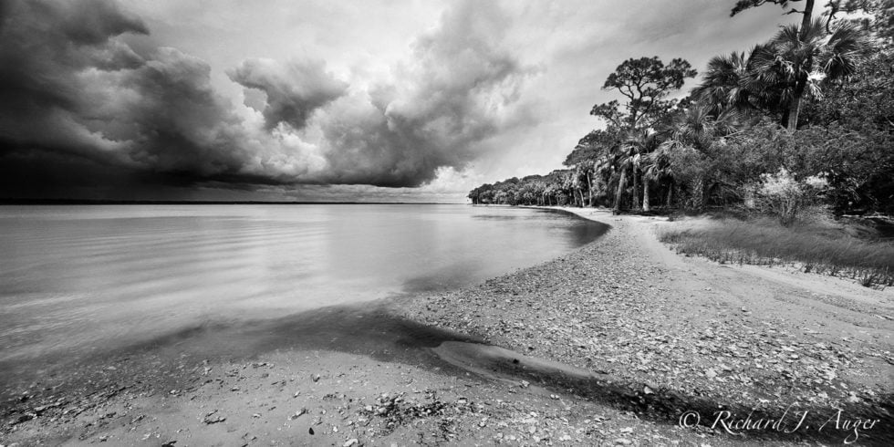 St Vincent Island 1 <p> Panhandle Florida