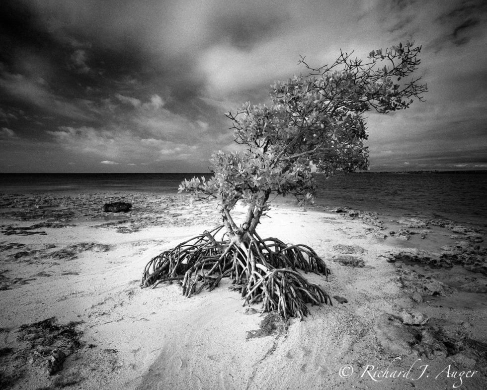 Unnamed Island 1 <p> Florida Keys